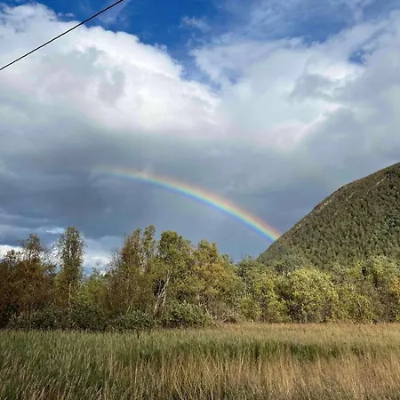 Brand New Close To The Centre *